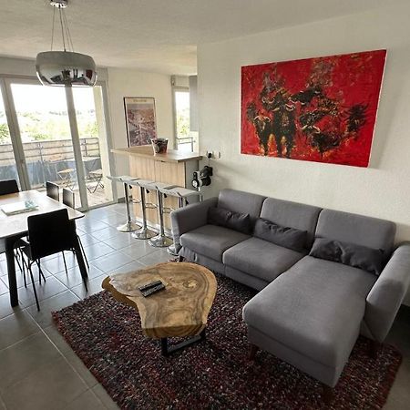 Appartement Coeur Toulousain Avec 2 Chambres 툴루즈 외부 사진