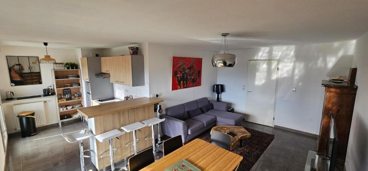 Appartement Coeur Toulousain Avec 2 Chambres 툴루즈 외부 사진